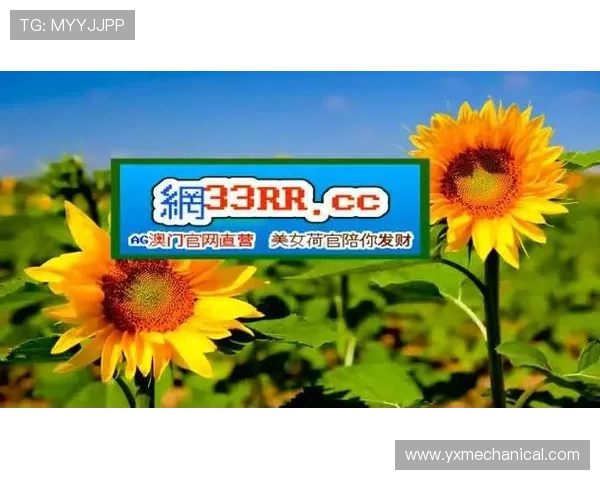 BG视讯网站全面解析：最新安全保障与丰富游戏体验推荐
