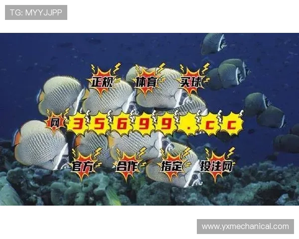 bg视讯厅平台特色功能介绍，提升您的游戏体验与互动乐趣